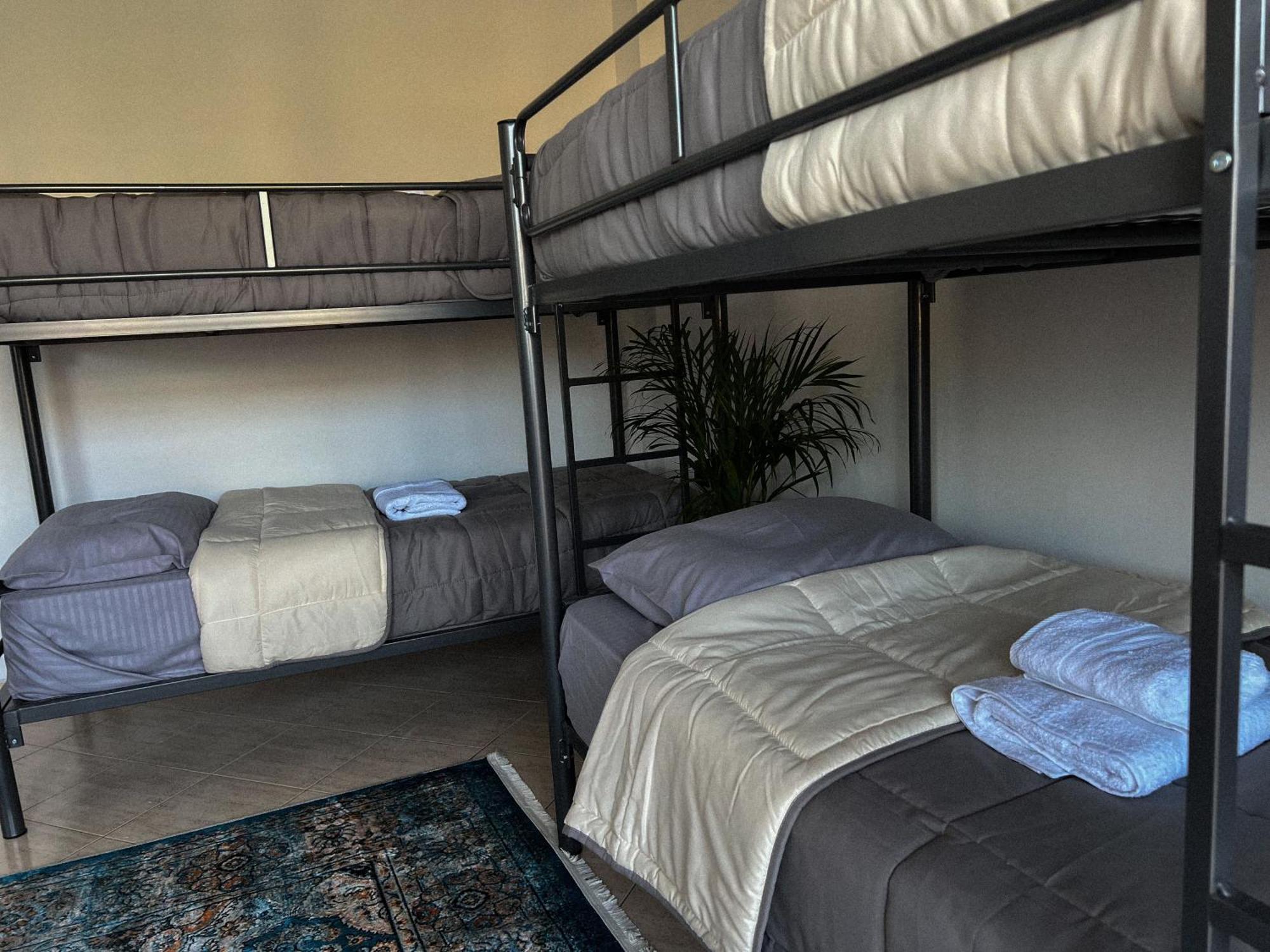 Hostel By Fenix تيرانا المظهر الخارجي الصورة