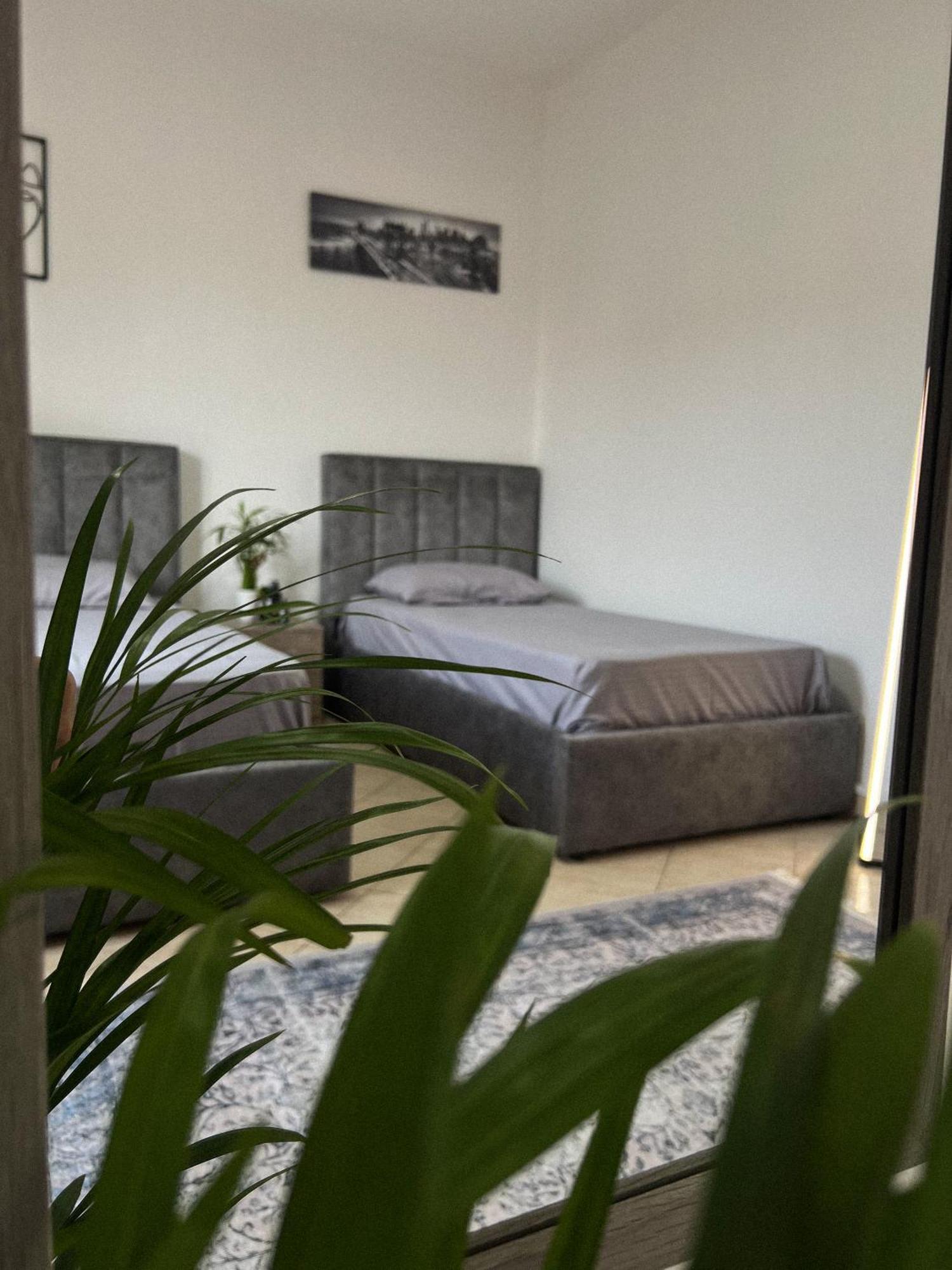 Hostel By Fenix تيرانا المظهر الخارجي الصورة