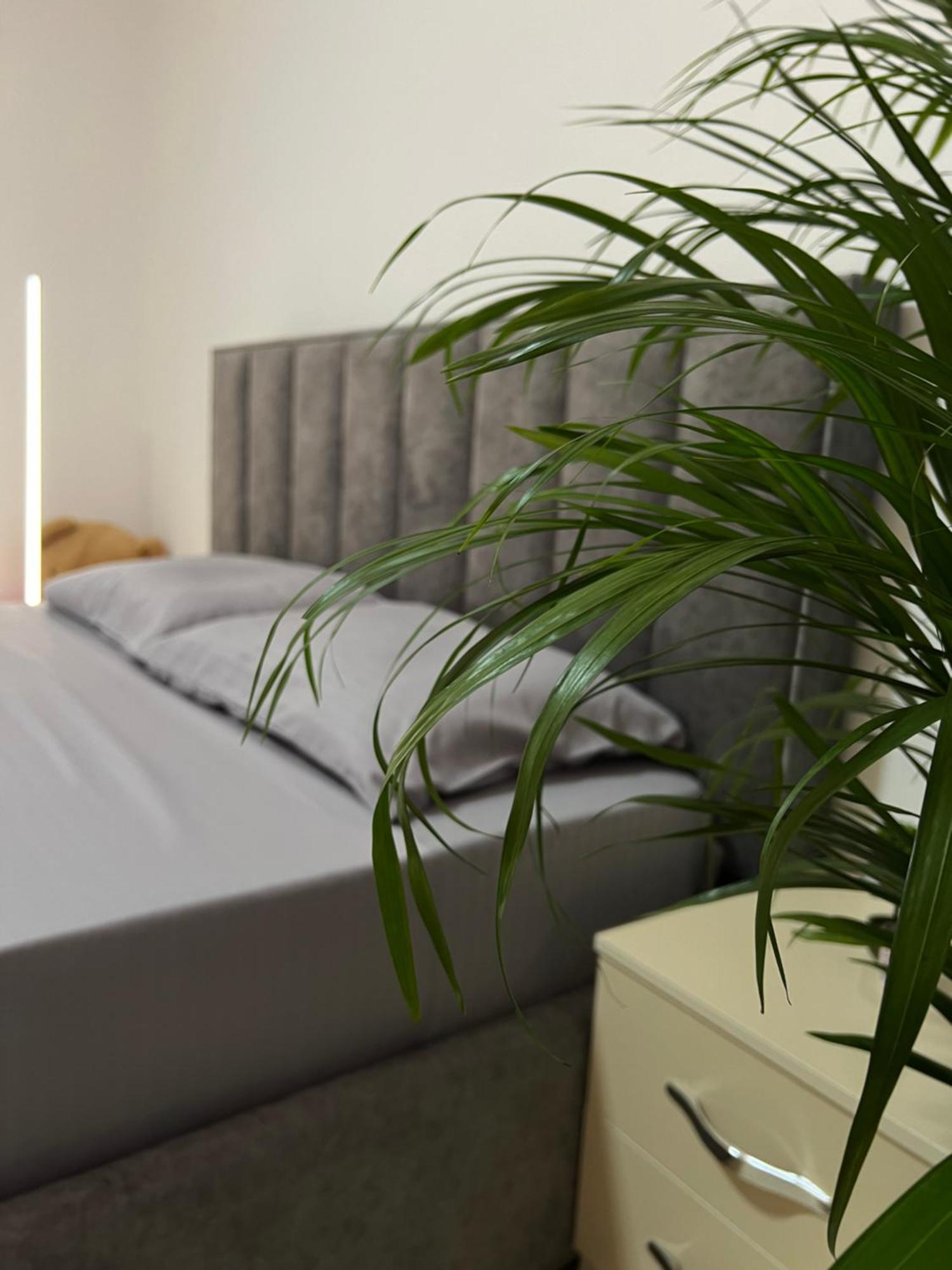 Hostel By Fenix تيرانا المظهر الخارجي الصورة