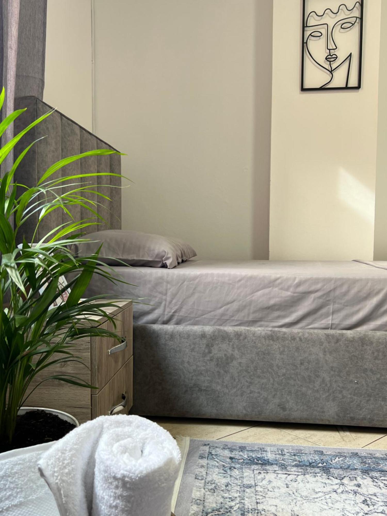Hostel By Fenix تيرانا المظهر الخارجي الصورة
